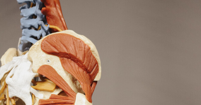 Chiropractic Care for Children: Building a Healthy Foundation from the Start image